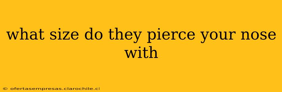 what size do they pierce your nose with