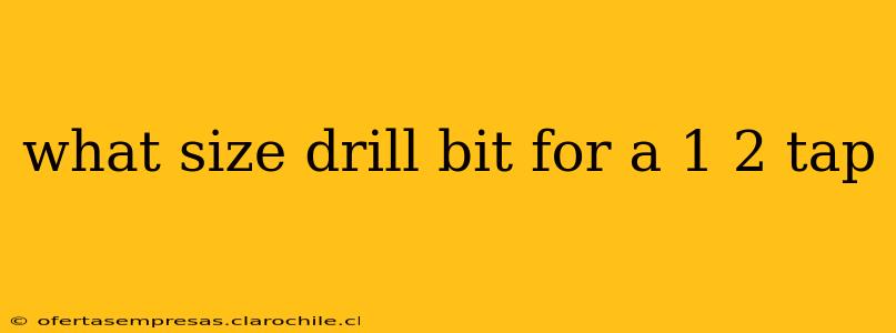 what size drill bit for a 1 2 tap