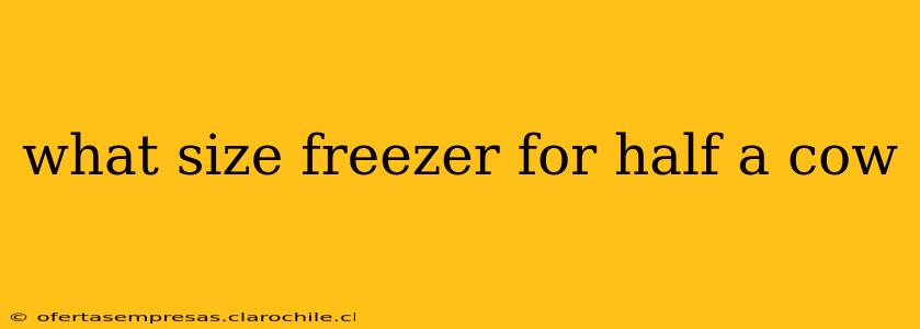 what size freezer for half a cow