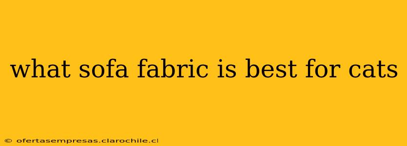 what sofa fabric is best for cats