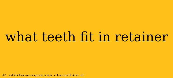 what teeth fit in retainer