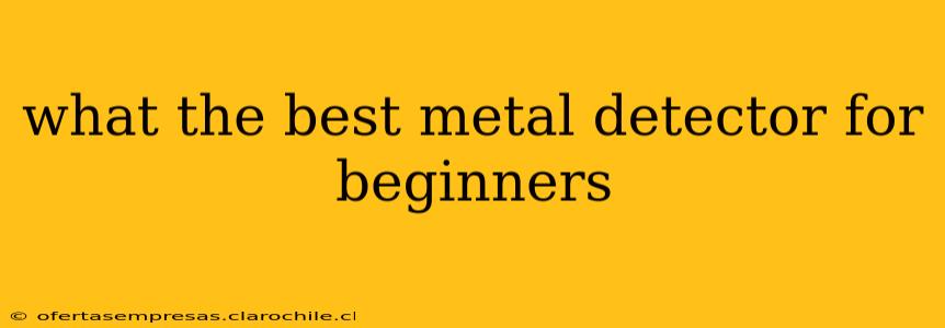 what the best metal detector for beginners