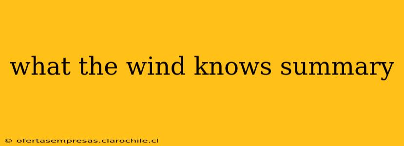 what the wind knows summary
