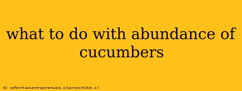 what to do with abundance of cucumbers