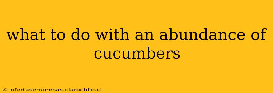 what to do with an abundance of cucumbers