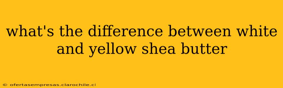 what's the difference between white and yellow shea butter