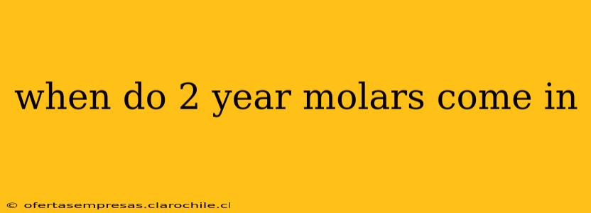 when do 2 year molars come in