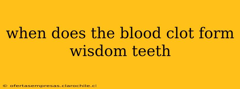 when does the blood clot form wisdom teeth