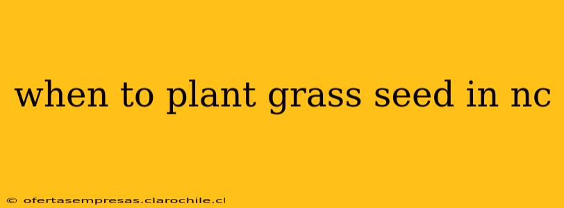 when to plant grass seed in nc