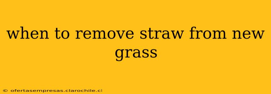 when to remove straw from new grass