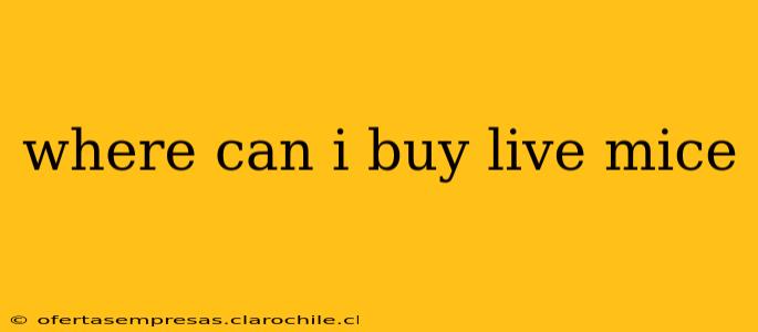 where can i buy live mice