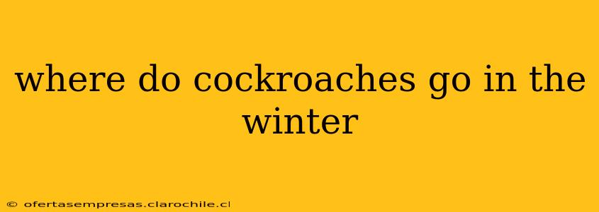 where do cockroaches go in the winter