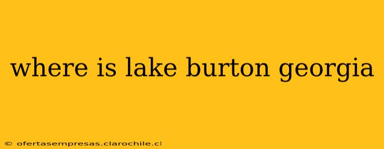 where is lake burton georgia