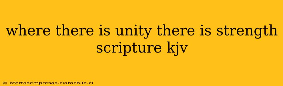 where there is unity there is strength scripture kjv