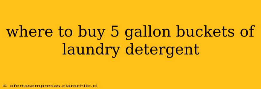 where to buy 5 gallon buckets of laundry detergent