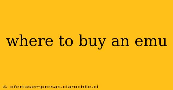 where to buy an emu