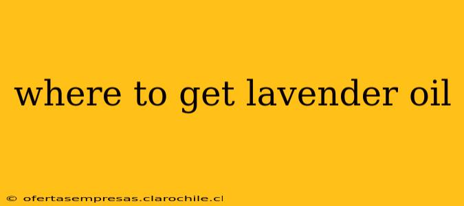 where to get lavender oil