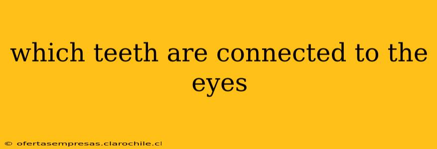 which teeth are connected to the eyes