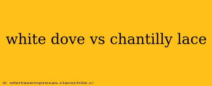 white dove vs chantilly lace