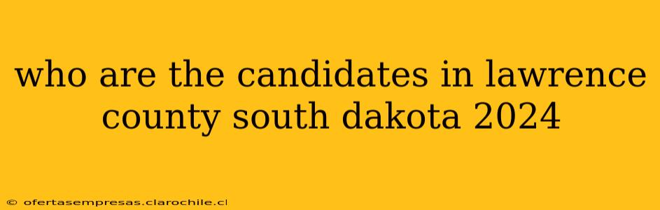 who are the candidates in lawrence county south dakota 2024