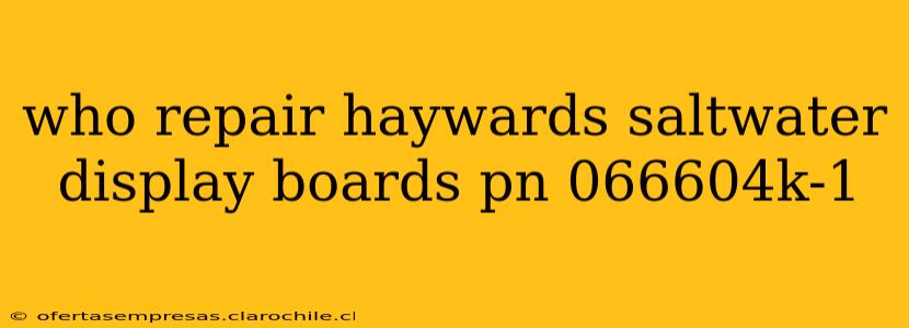who repair haywards saltwater display boards pn 066604k-1