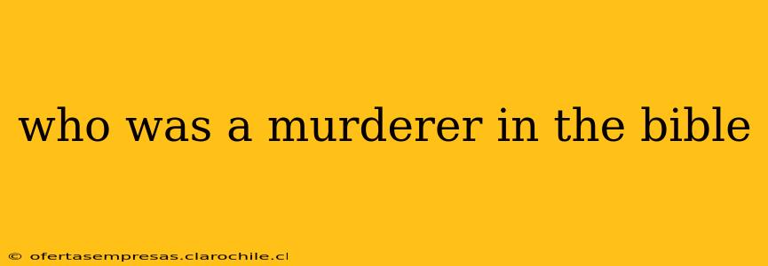 who was a murderer in the bible