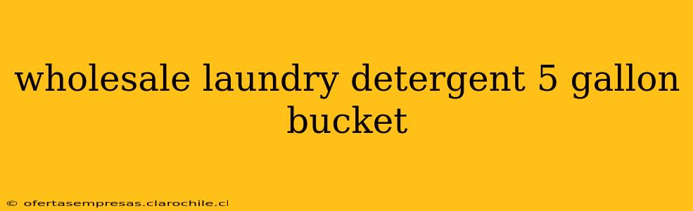 wholesale laundry detergent 5 gallon bucket