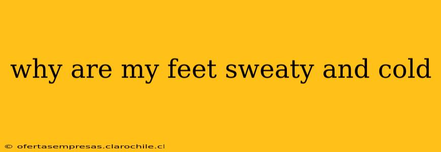 why are my feet sweaty and cold