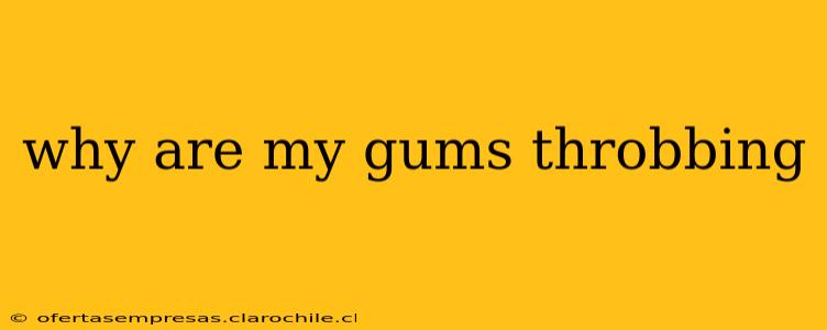 why are my gums throbbing