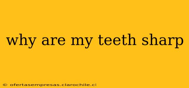 why are my teeth sharp