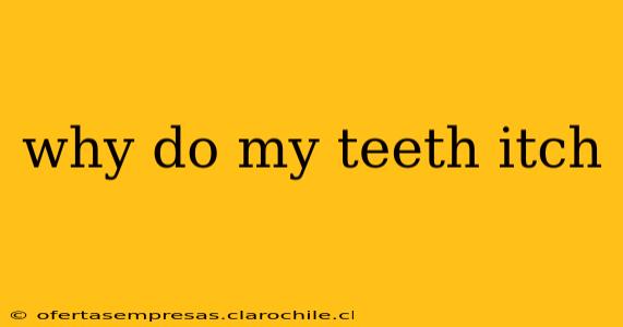 why do my teeth itch