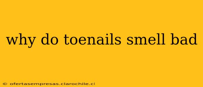 why do toenails smell bad
