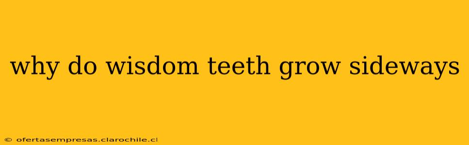 why do wisdom teeth grow sideways