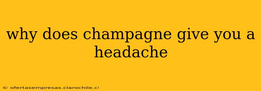 why does champagne give you a headache