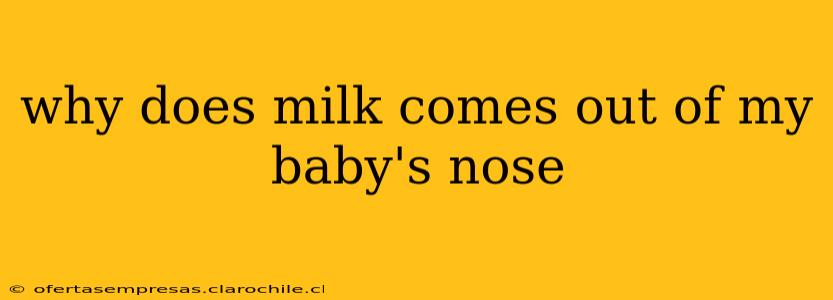 why does milk comes out of my baby's nose