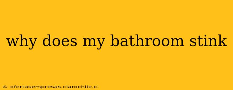 why does my bathroom stink