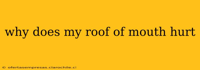 why does my roof of mouth hurt