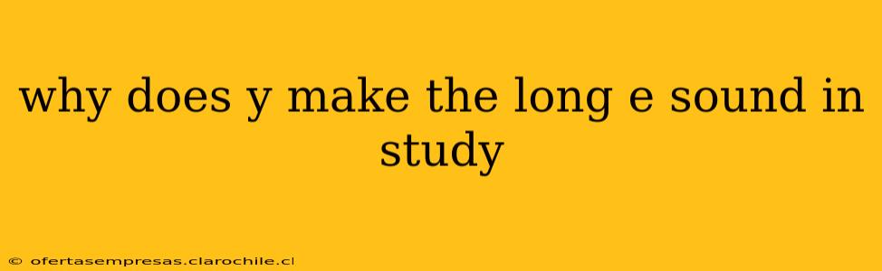 why does y make the long e sound in study