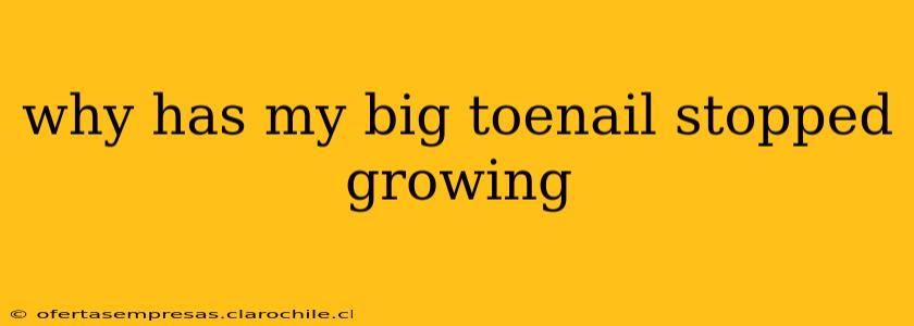 why has my big toenail stopped growing