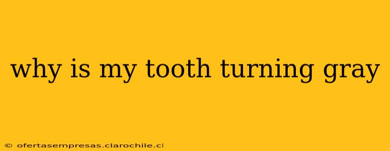 why is my tooth turning gray