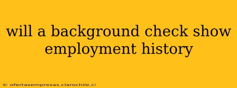 will a background check show employment history