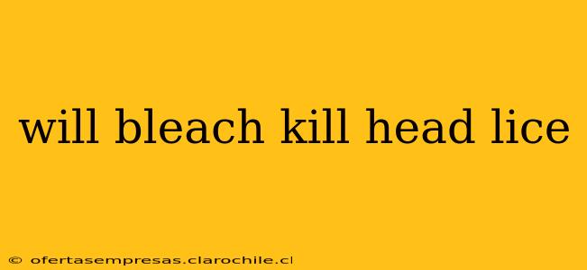 will bleach kill head lice