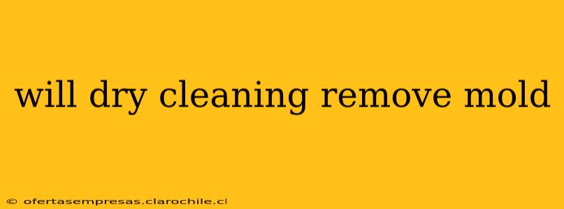 will dry cleaning remove mold