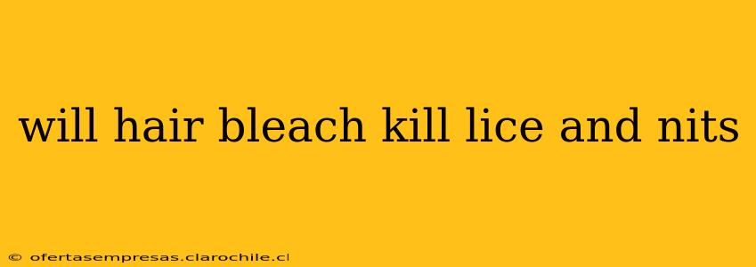 will hair bleach kill lice and nits