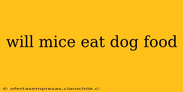 will mice eat dog food
