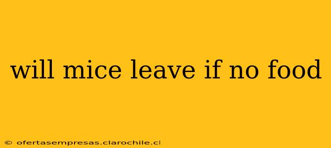 will mice leave if no food