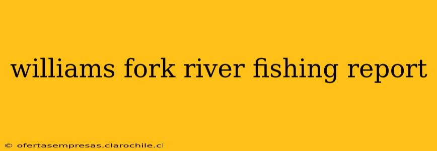 williams fork river fishing report