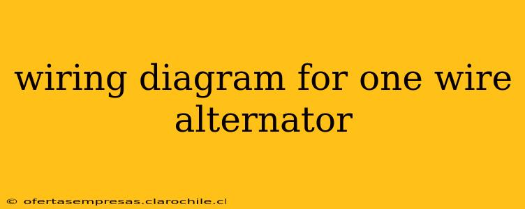 wiring diagram for one wire alternator