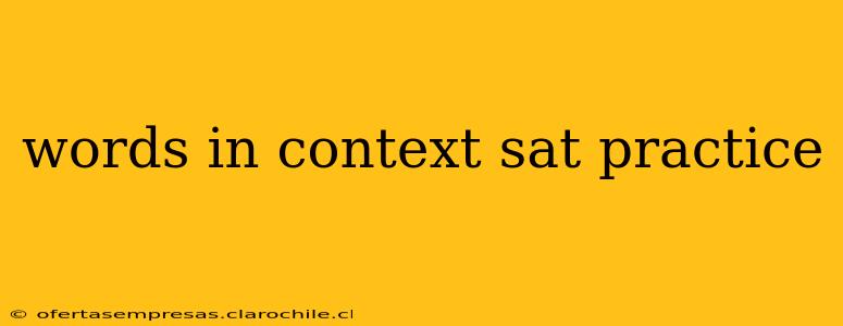 words in context sat practice